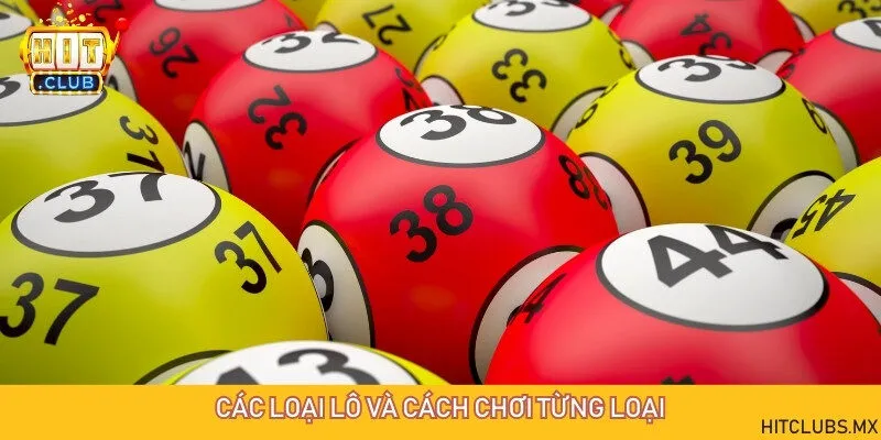 Phân loại lô và hướng dẫn cách chơi từng loại