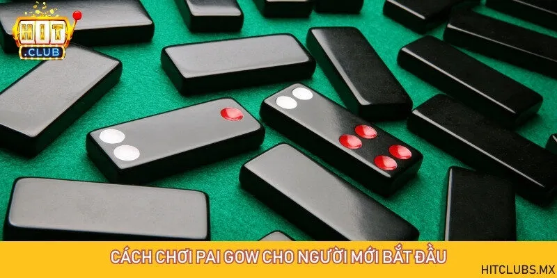 Đọc vị từng ván bài bằng cách nắm rõ cách chơi