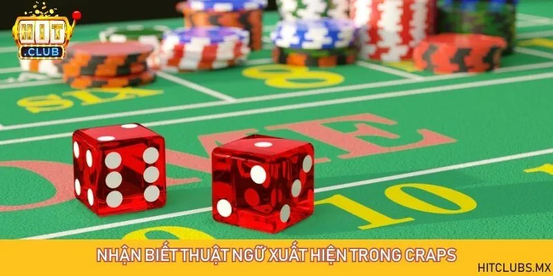 Phân biệt thuật ngữ cơ bản khi chơi craps online
