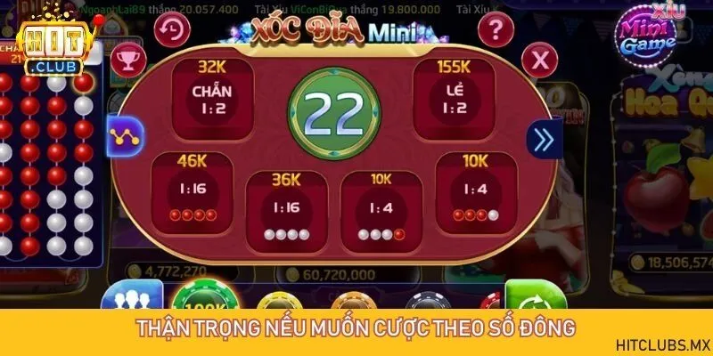 Đừng bao giờ đặt cược xóc đĩa theo số đông