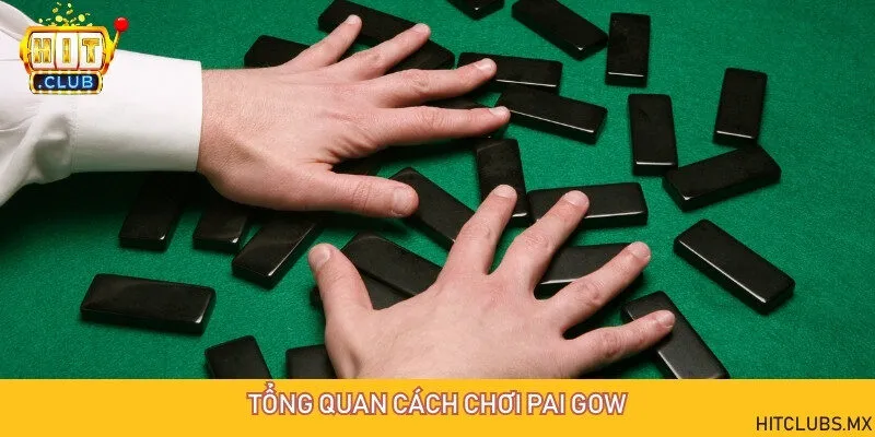 Pai Gow sử dụng bộ bài domino Trung Quốc
